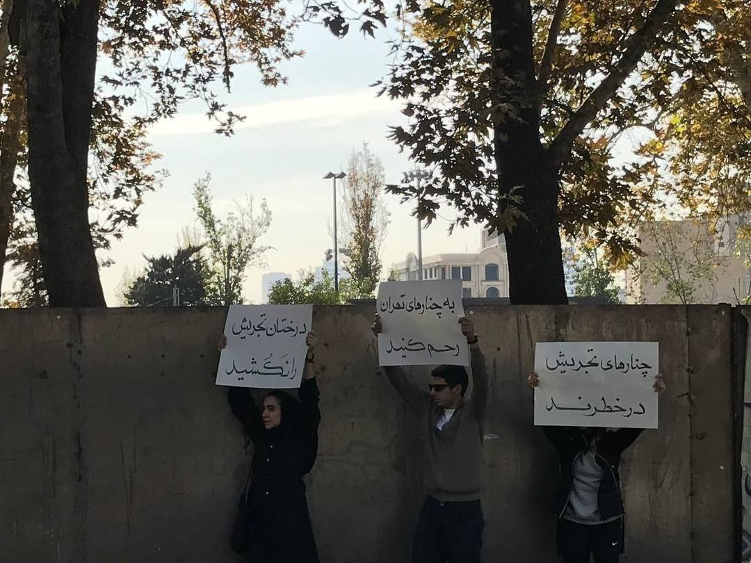 تجمع عجیب علیه شهرداری در تهران / به چنارهای تهران رحم کنید