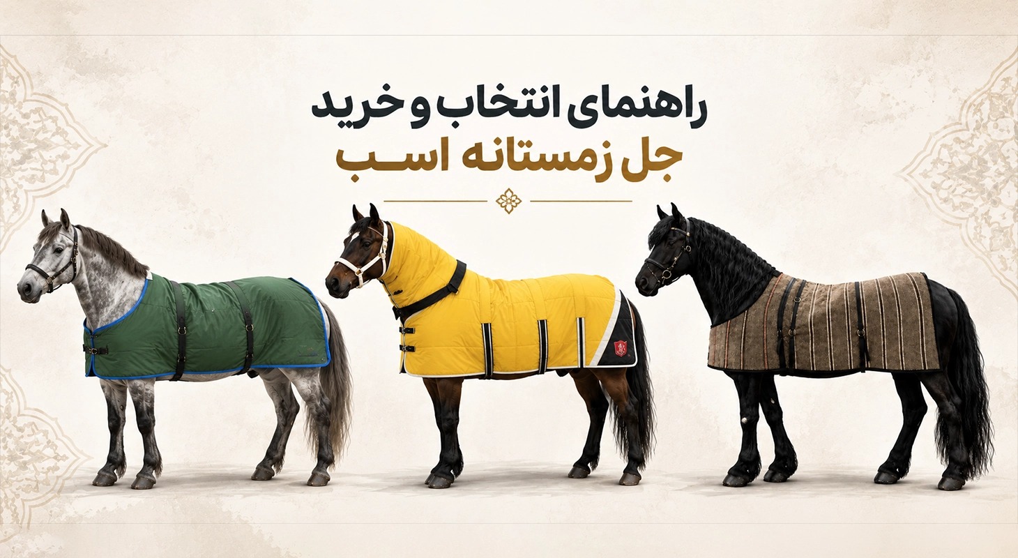 راهنمای خرید جل زمستانه